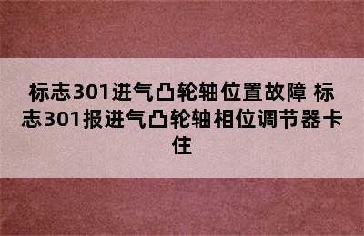 标志301进气凸轮轴位置故障 标志301报进气凸轮轴相位调节器卡住